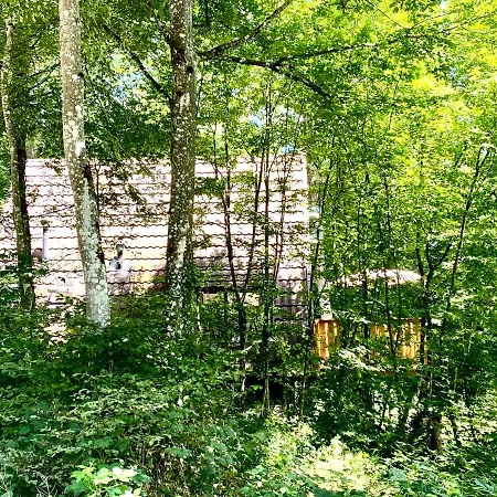 A- Frame Ardennen Alpehytte *